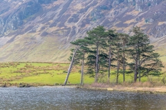 Crummock Water walk