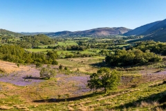 Brackenthwaite Hows