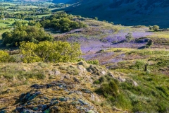 Brackenthwaite Hows