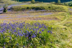 Brackenthwaite Hows