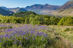 Brackenthwaite Hows