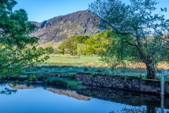River Cocker