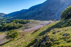 Brackenthwaite Hows