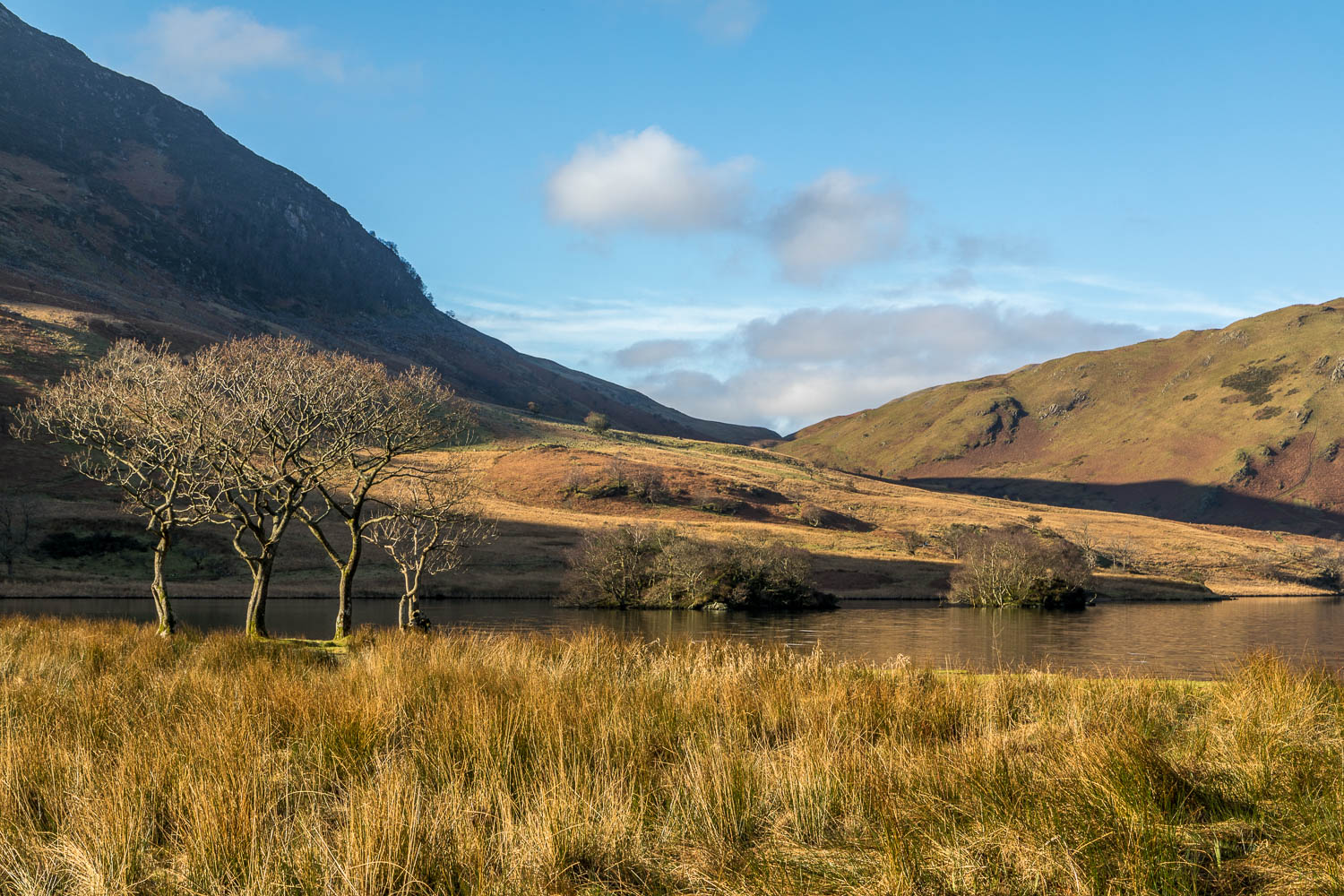 Crummock Water, Holme Islands Crummock Water, Holme Islands