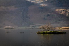 Crummock Water, Woodhouse Islands