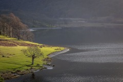 Crummock Water