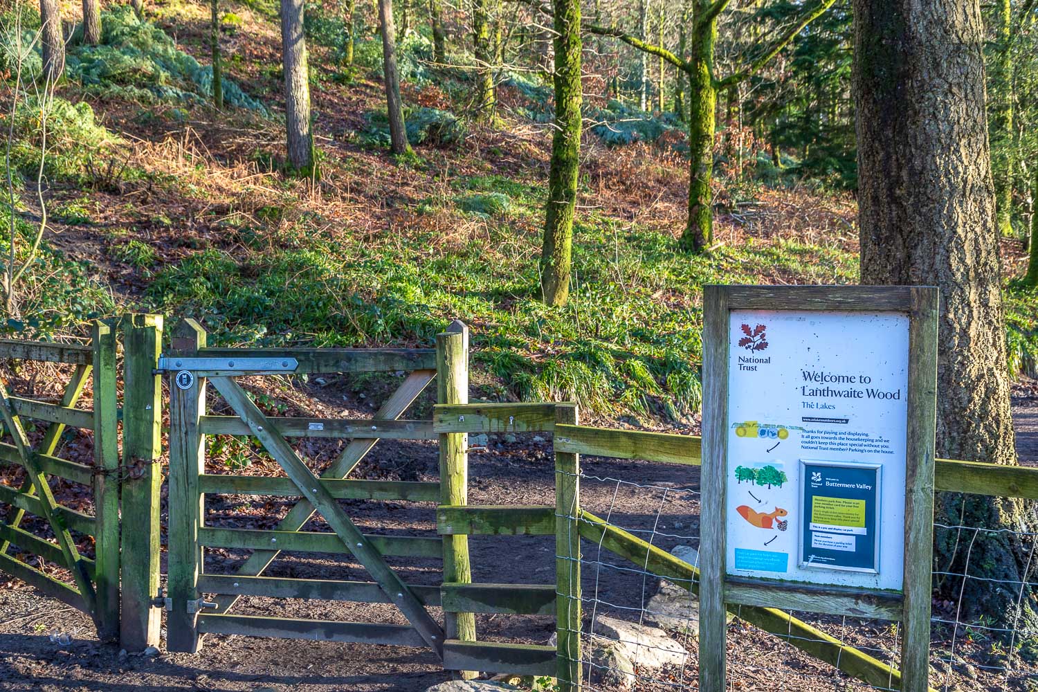 Lanthwaite Wood Lanthwaite Wood