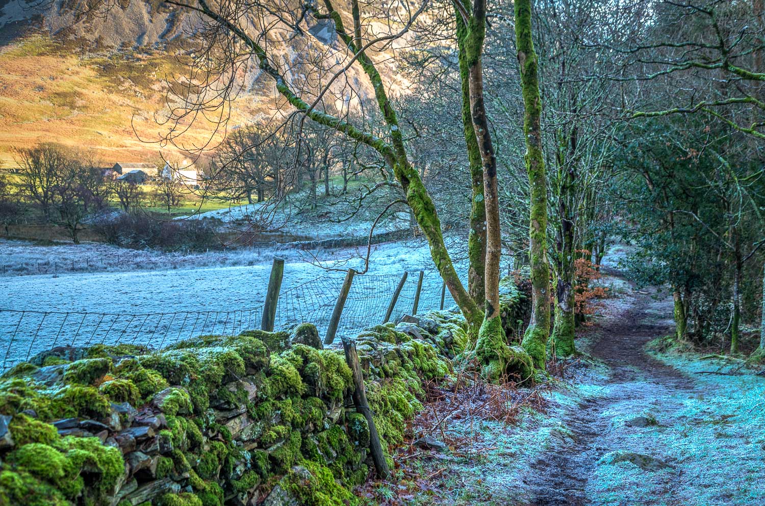 Foot of Grasmoor Foot of Grasmoor