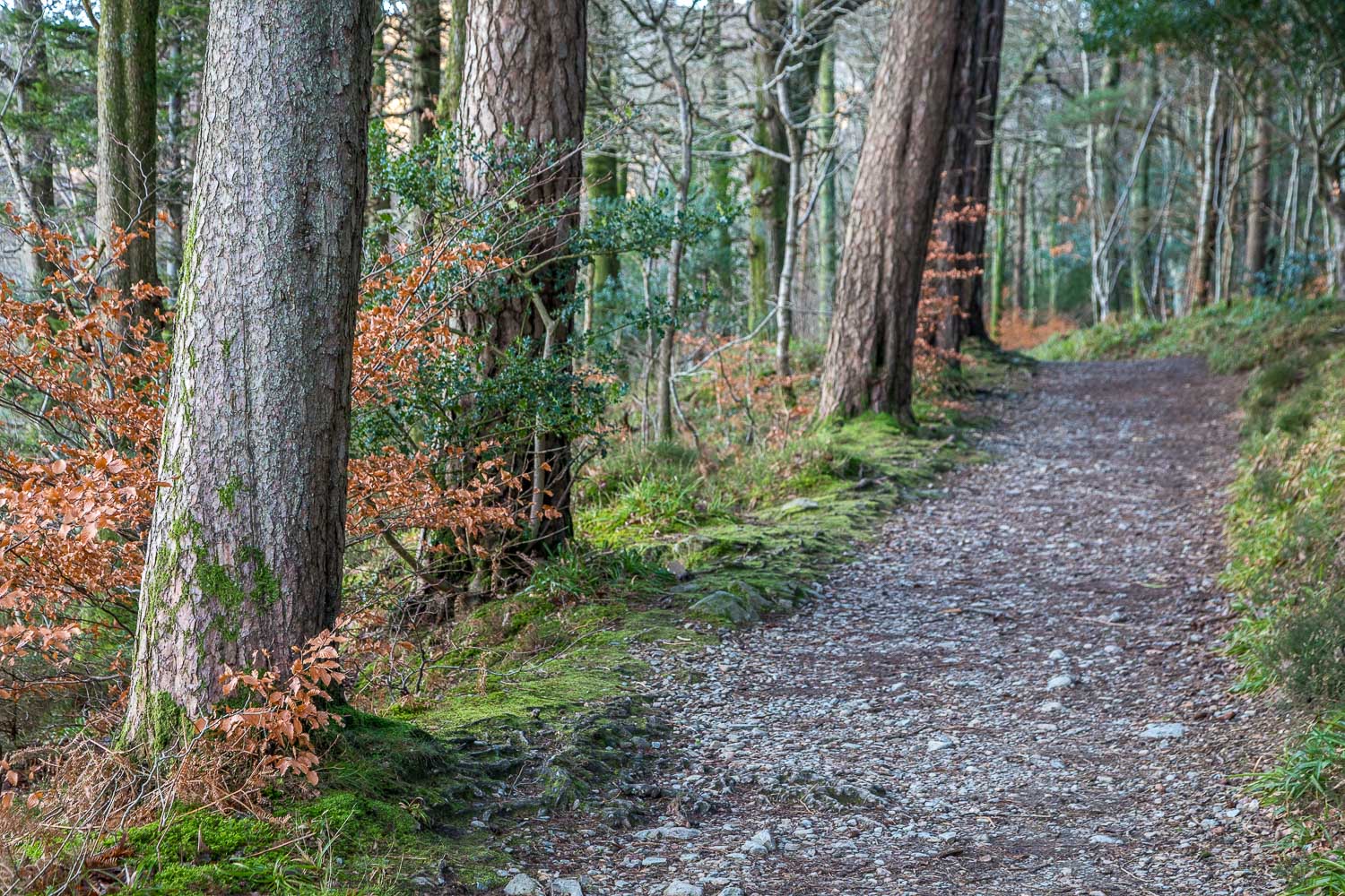 Crummock-Water walk Crummock-Water walk