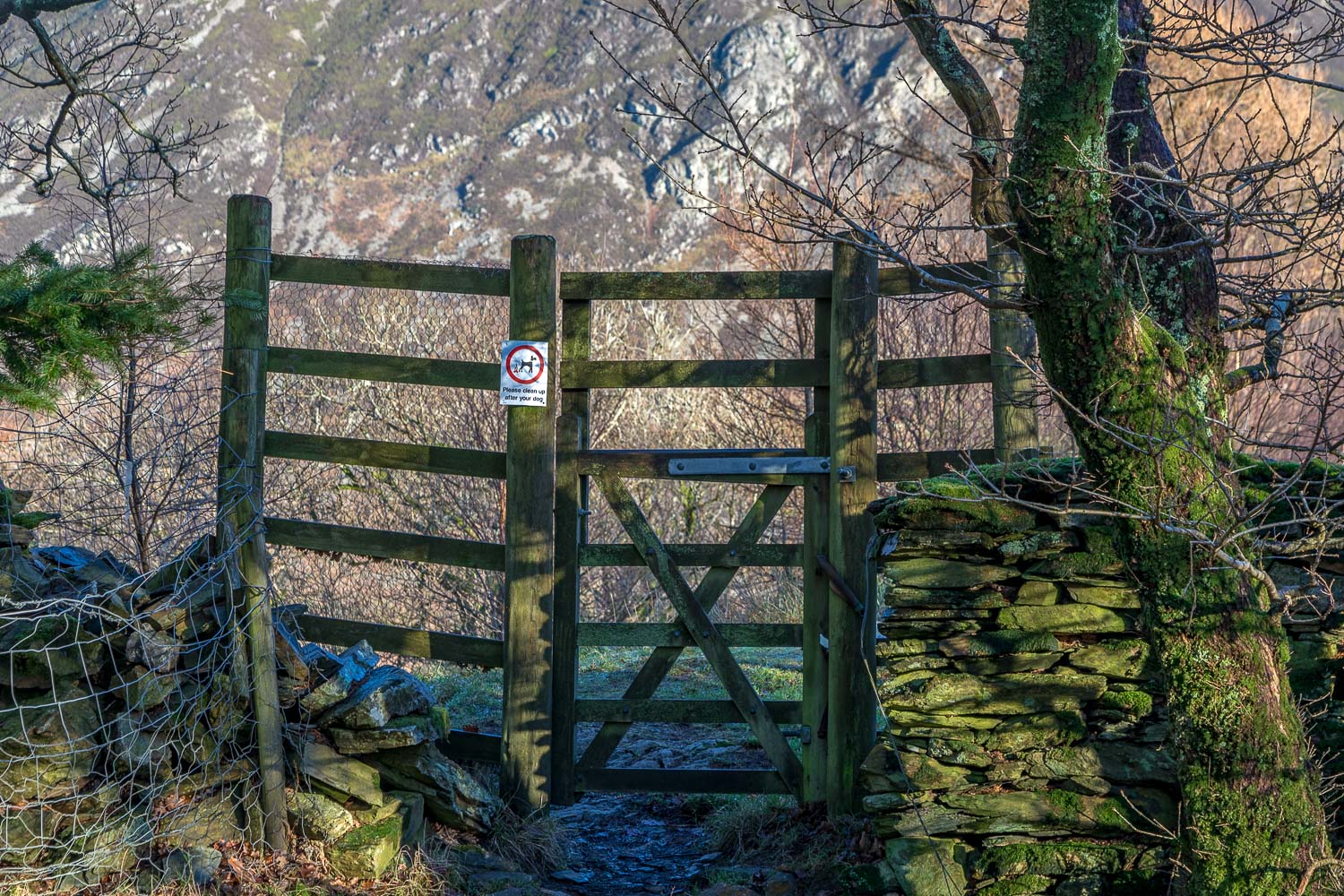 Lanthwaite Hill Lanthwaite Hill