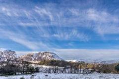 Cirrus clouds