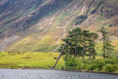Mellbreak, Crummock Water