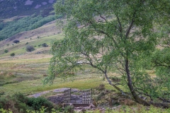 Scale Beck bridge