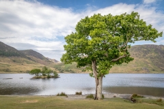 Woodhouse Islands, Crummock Water circuit