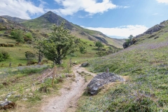 Whiteless Pike, Rannerdale bluebells