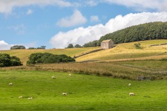 Dacre walk