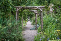 Rose walk, Dalemain Gardens