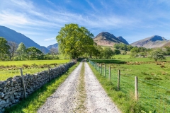 Hindscarth and Robinson