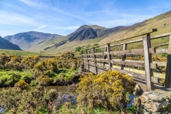 Newlands Beck
