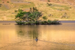 Woodhouse Island Crummock Water