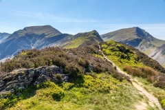 Hindscarth left and Robinson