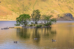 Woodhouse Island Crummock Water