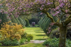 Dalemain Garden