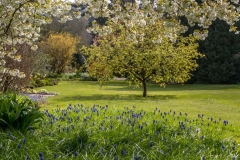 Dalemain Garden