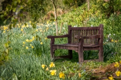 Dalemain Garden