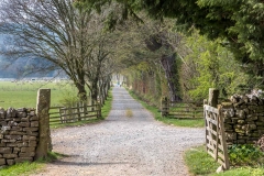 Dalemain to Dacre walk