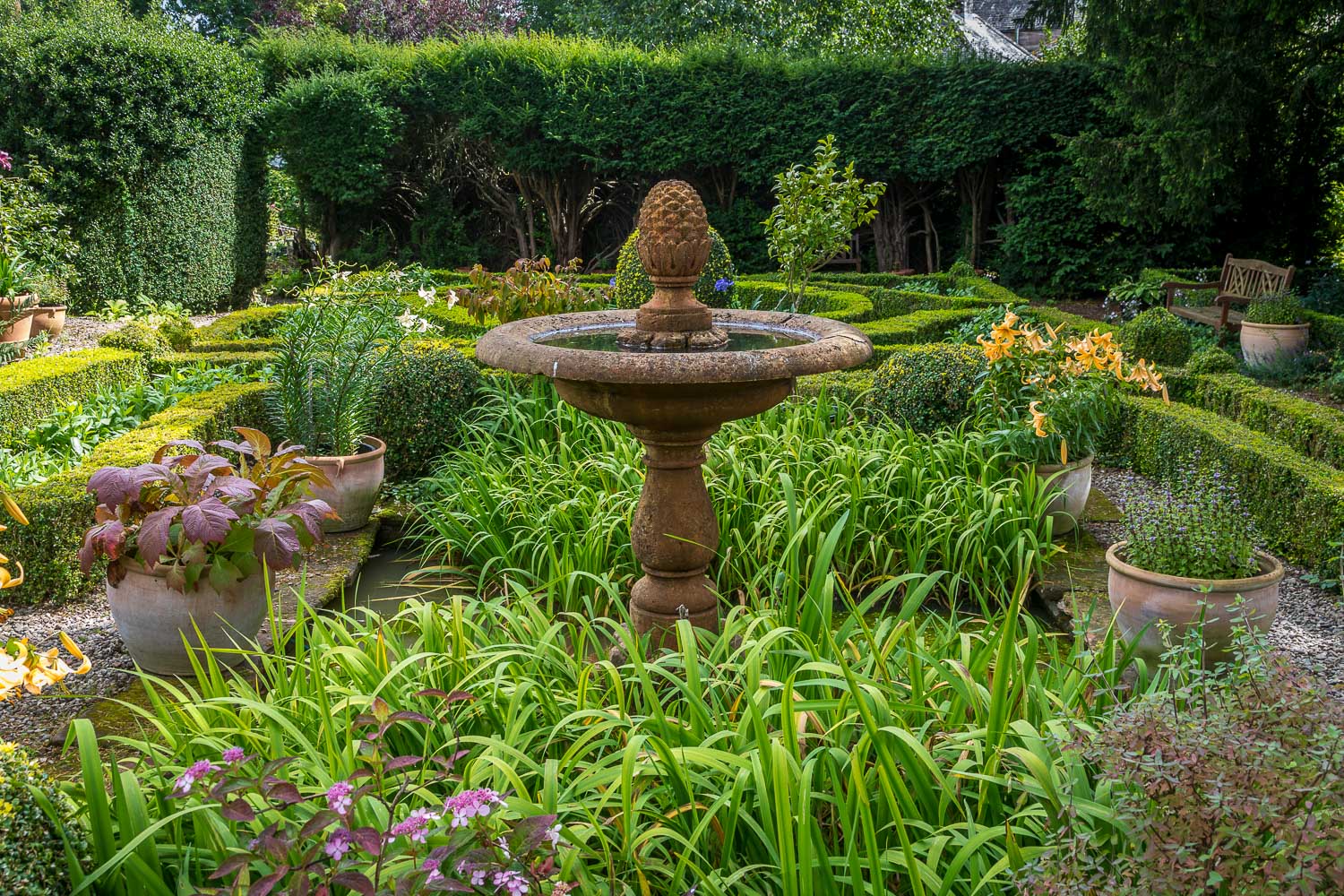 Dalemain Elizabethan knot garden