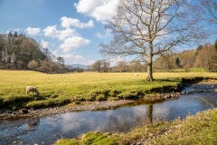 Dacre Beck, Dalemain