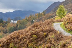 Borrowdale