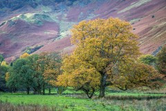 Borrowdale