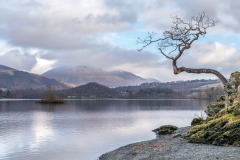 Derwent Water walk, Otterbield Bay