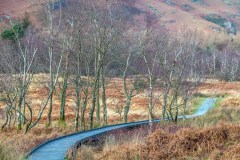 Derwent Water boardwalk