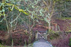 Derwent Water walk