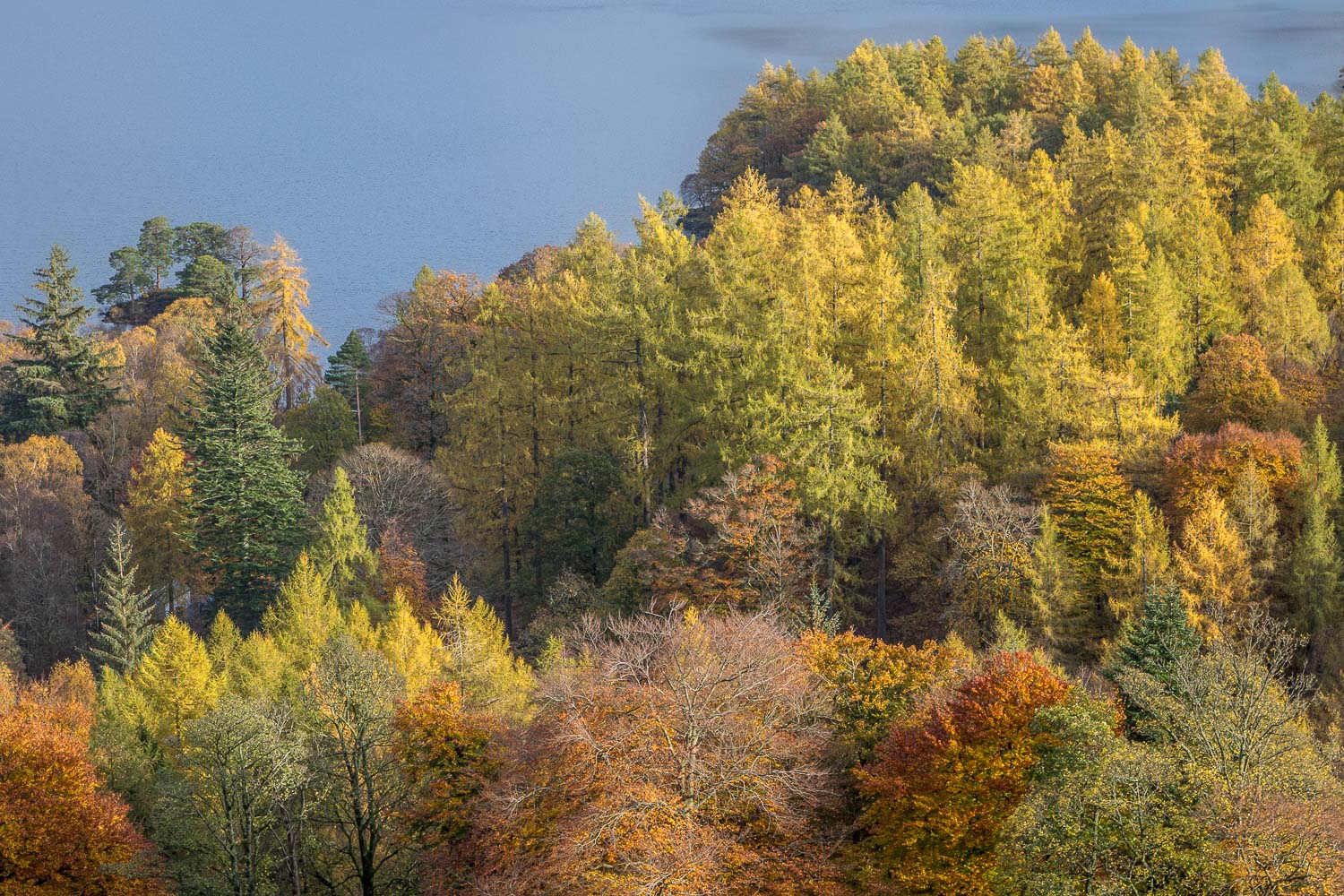 Derwent Water, autumn colours