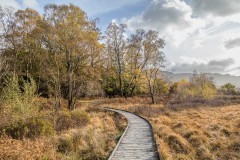 Derwent Water boardwalk