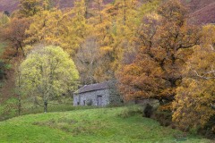 Barn, Brandelhow Park
