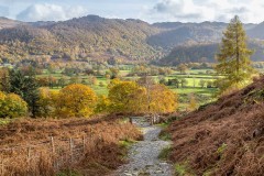 Borrowdale