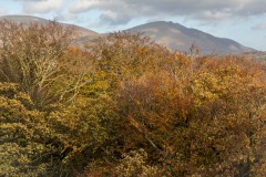 Blencathra