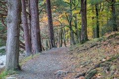 Derwent Water, Brandelhow Park