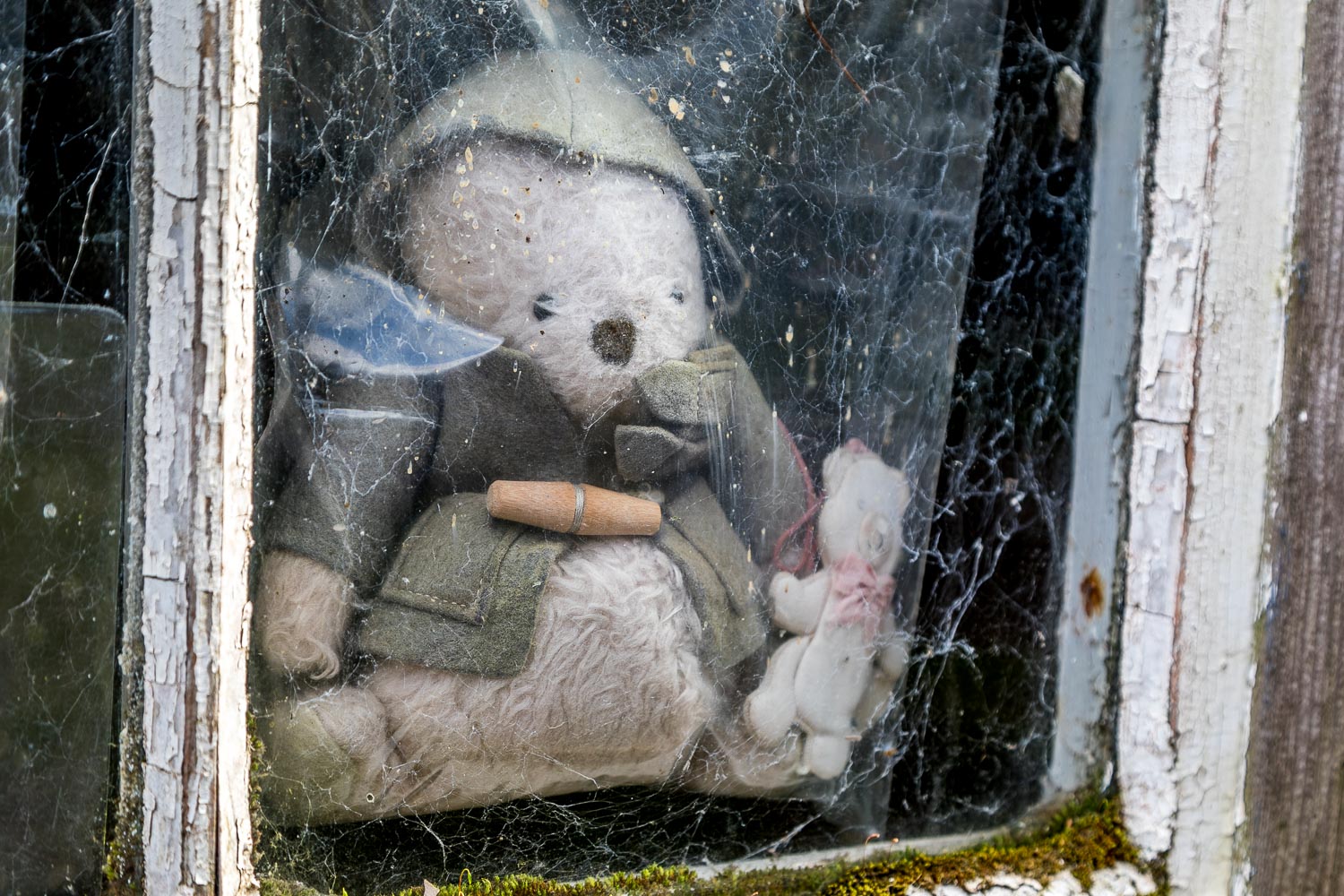 Teddy in the Window at Brandelhow