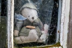 Teddy in the Window at Brandelhow
