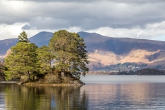Otter Island Derwent Water