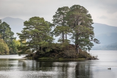 Derwent Water, Otter Island