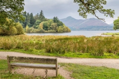 Derwent Water walk, Strandshag Bay
