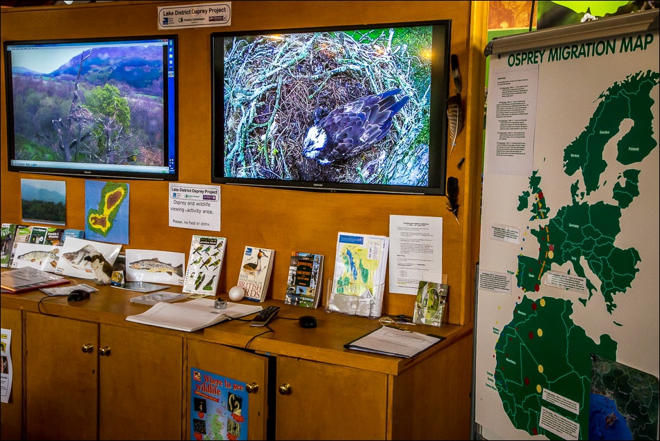 Whinlatter Visitor Centre, osprey project