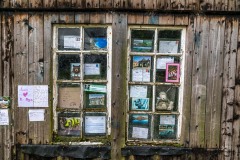 The Teddy in the Window, Derwent Water